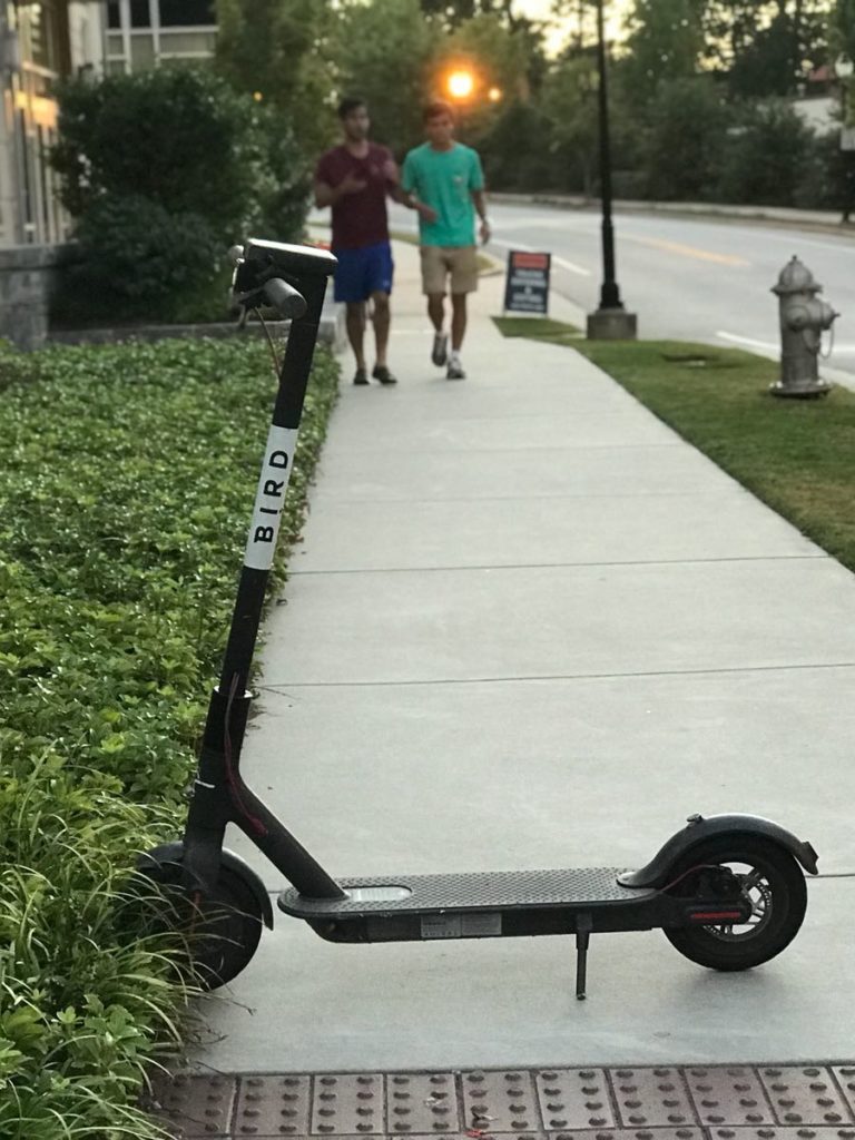 bird scooter