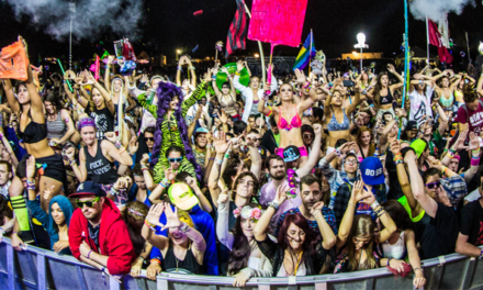 A Day at CounterPoint Music Festival
