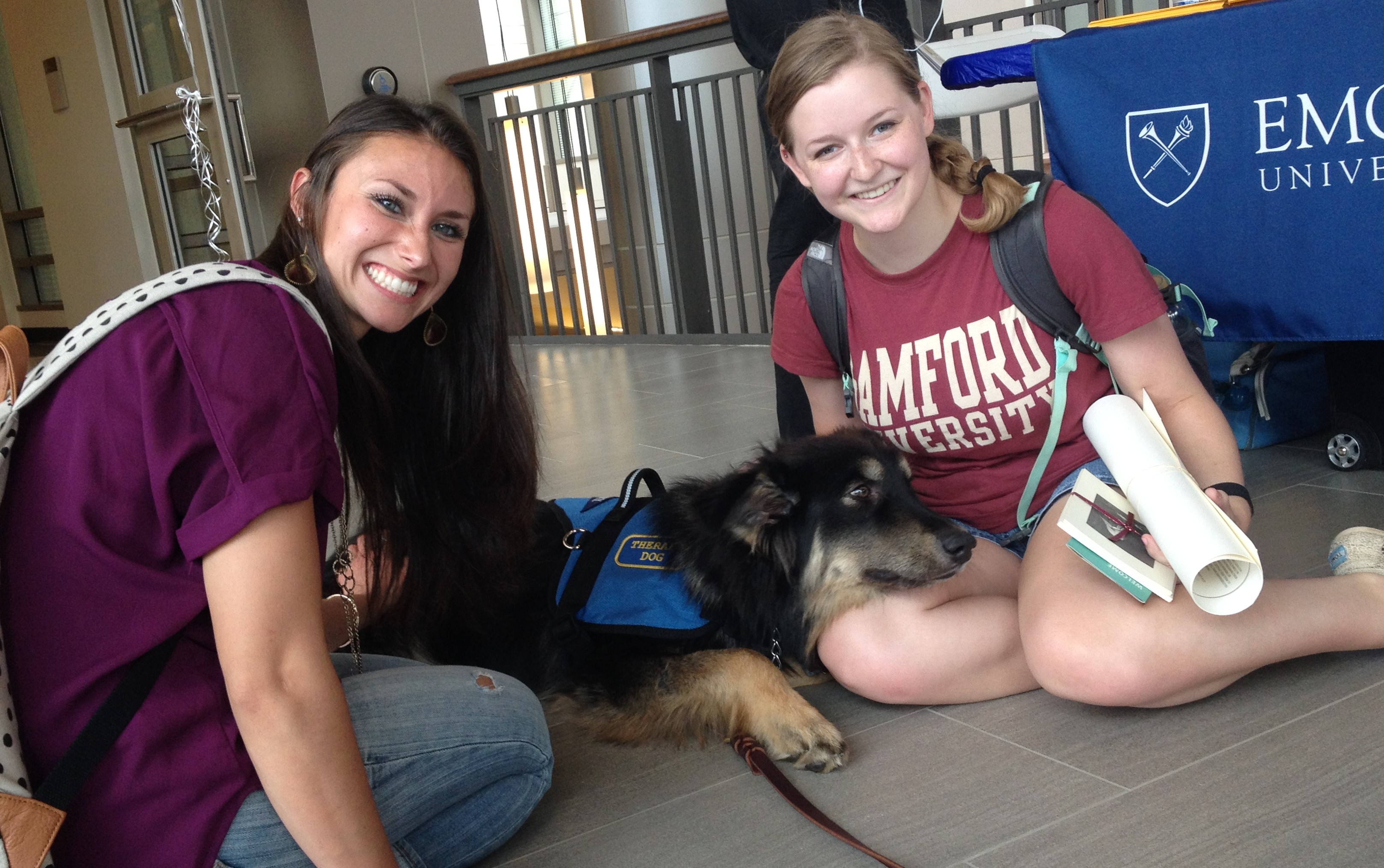 Beowulf Becomes Emory’s First Full-Time Therapy Dog
