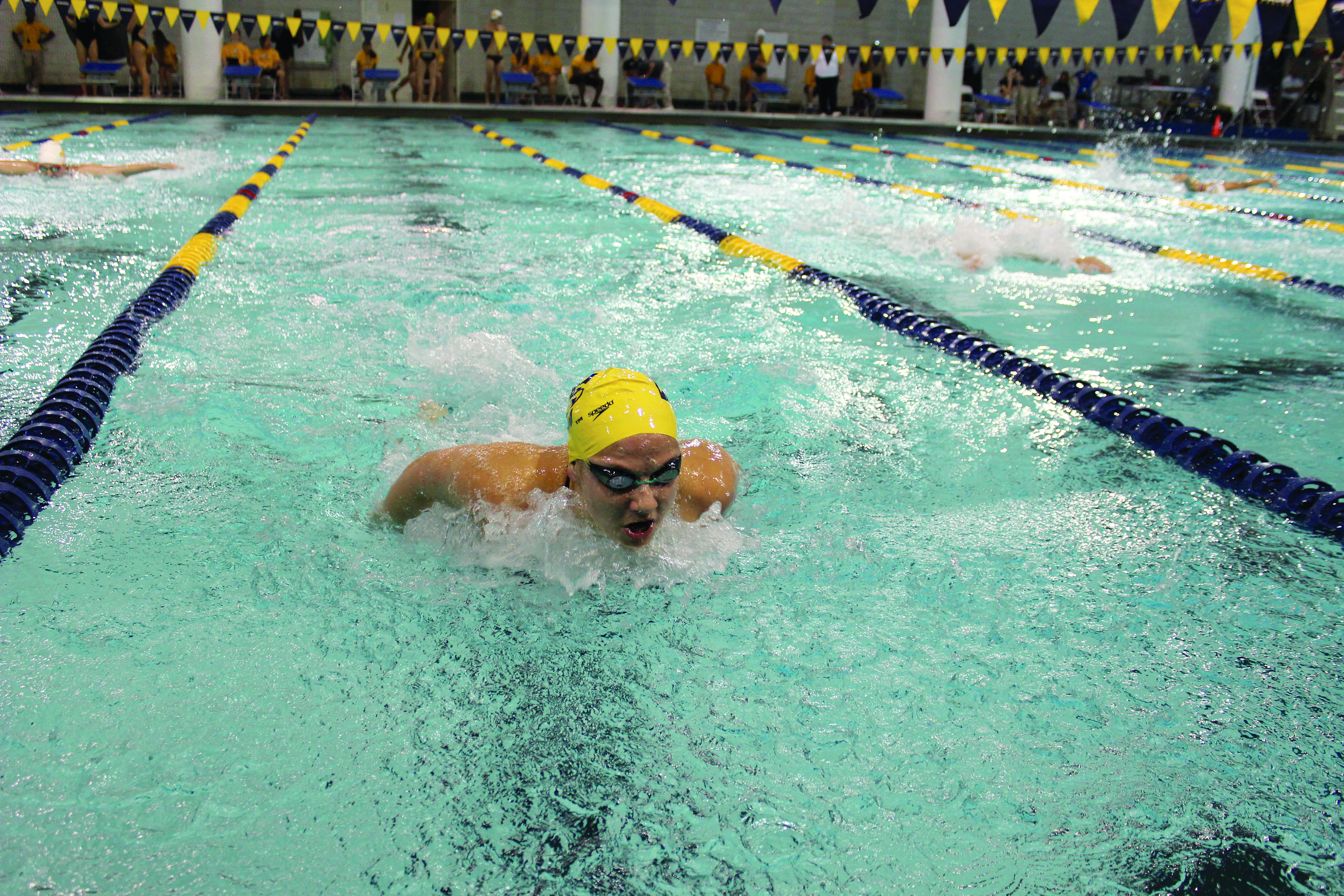 Swimming & Diving Glides Past Birmingham-Southern at Home