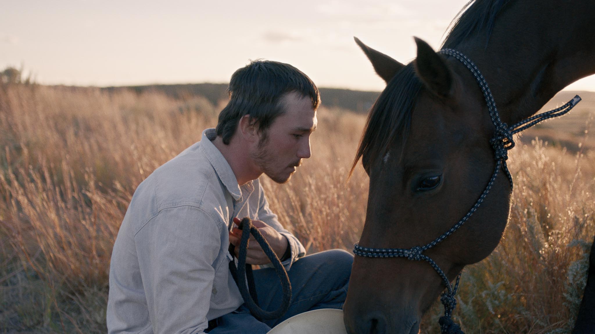 ‘The Rider’ Finds Truth in the American Way