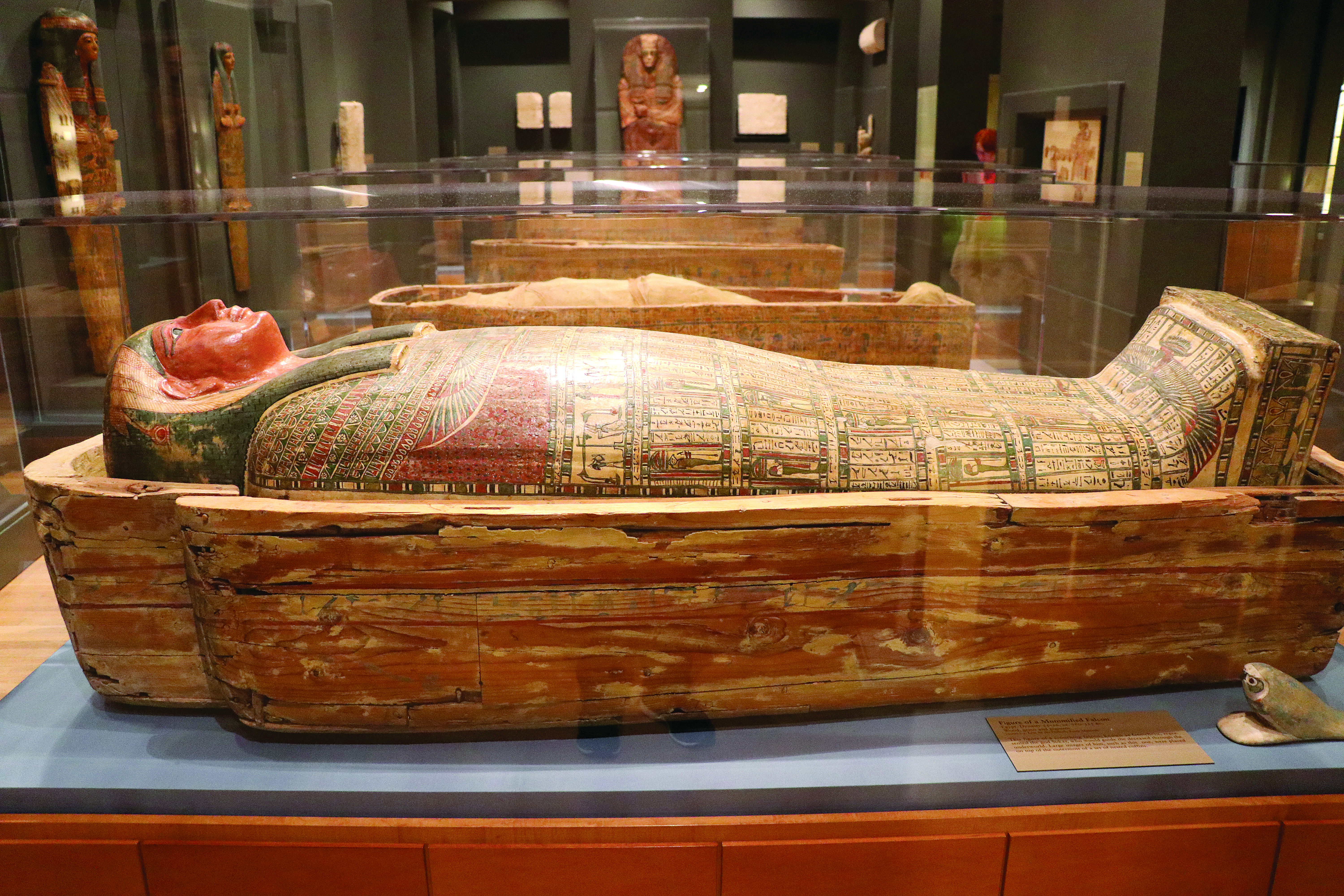 To see or not to see: The ongoing debate of displaying mummies at the Carlos Museum