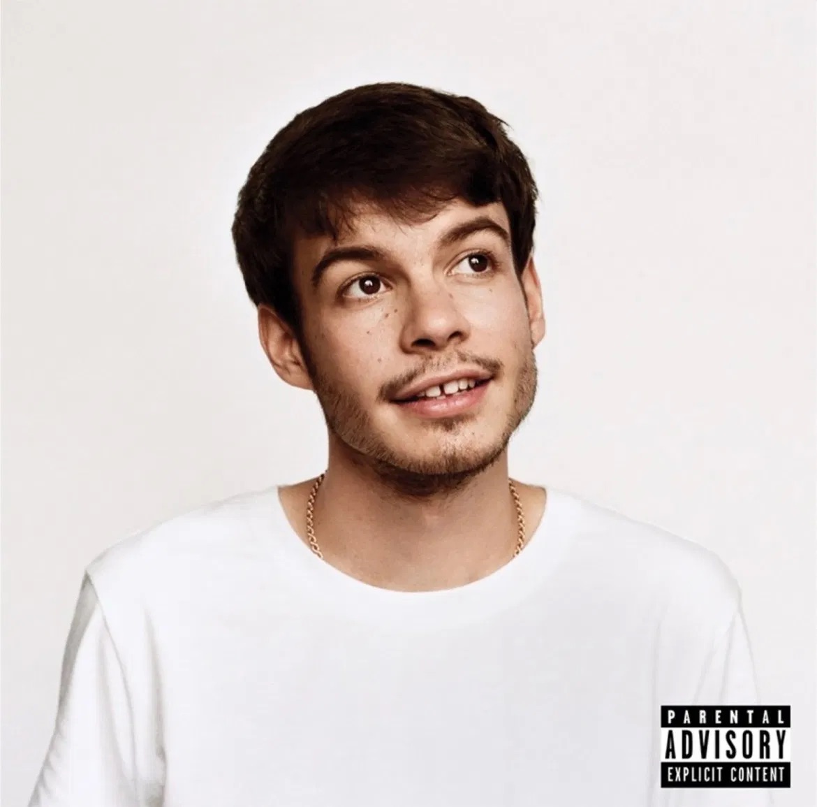 With ‘Pony,’ Rex Orange County Finds Hope in Maturity