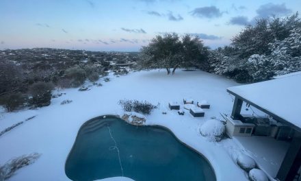When Texas Freezes Over: Emory Texans Battle Winter Storm Uri