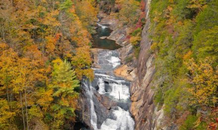 Five must-see nature destinations a day trip from Emory