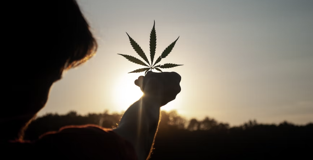 6 Greatest Cannabis Activists of All Time
