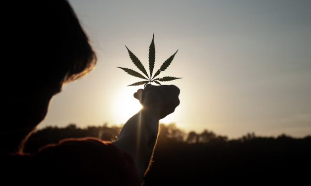 6 Greatest Cannabis Activists of All Time