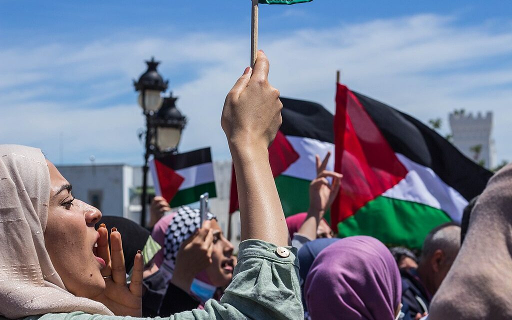 Emory, support the liberation of Palestine