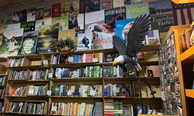 Nearby indie bookstores craft unique reading selections