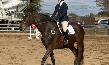 Emory club equestrian takes the reins